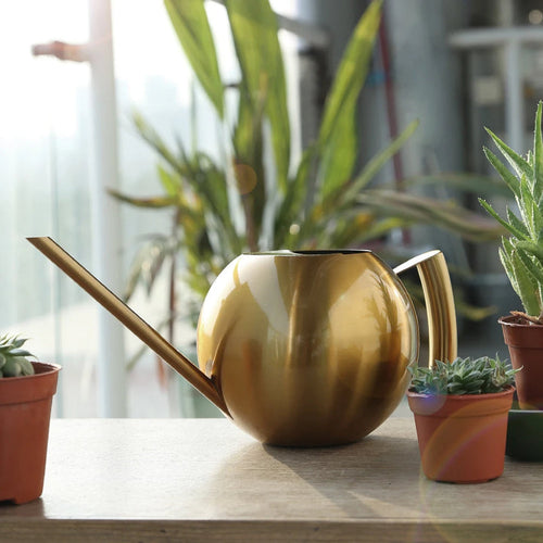 Arrosoir minimaliste pour plantes