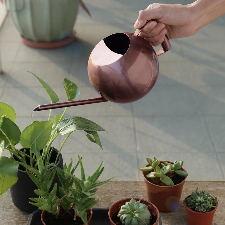 Arrosoir minimaliste pour plantes