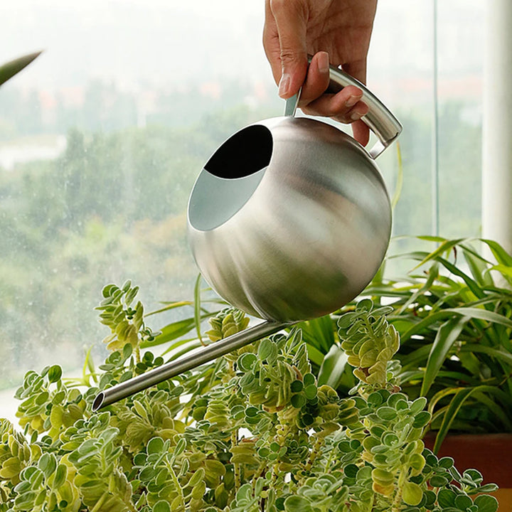 Arrosoir minimaliste pour plantes