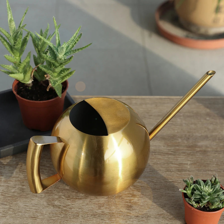 Arrosoir minimaliste pour plantes