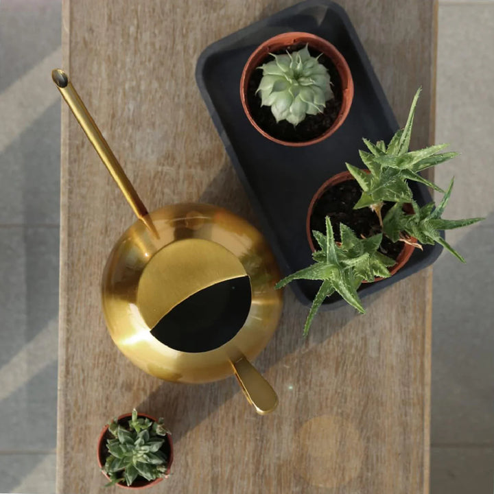 Arrosoir minimaliste pour plantes