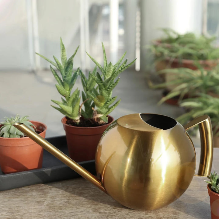 Arrosoir minimaliste pour plantes