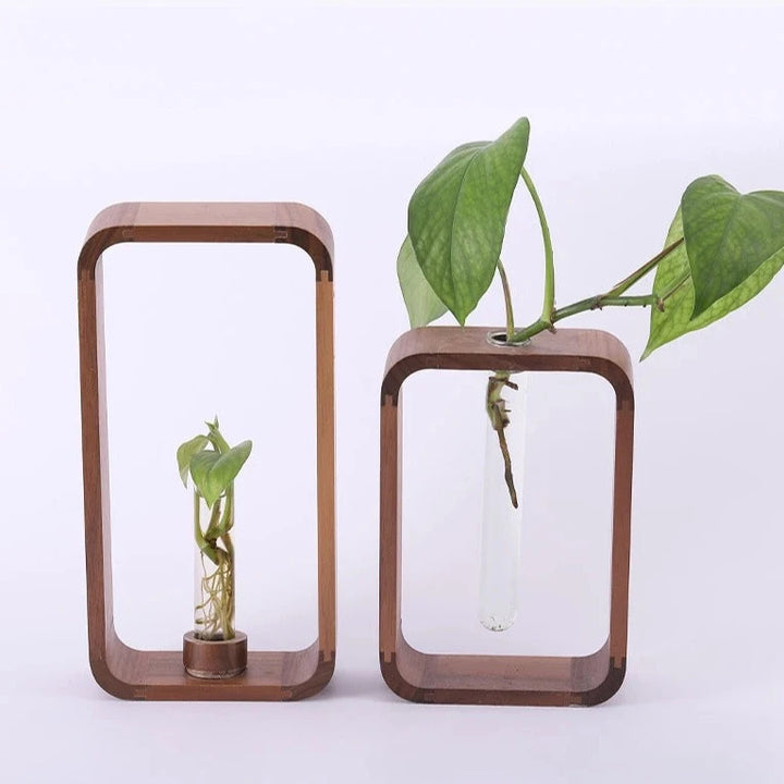 Propagateur décoratif en bois – Vases à boutures suspendues
