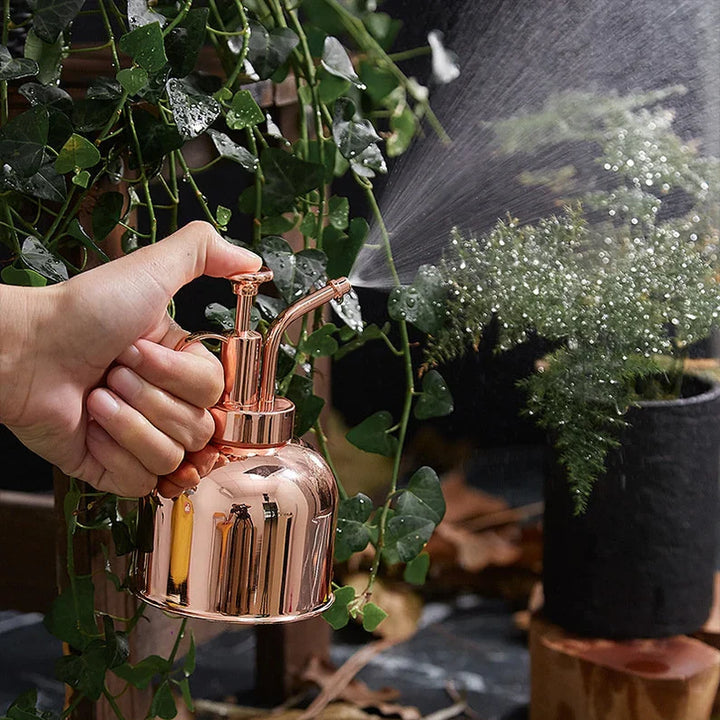 Vaporisateur doré pour plantes en laiton