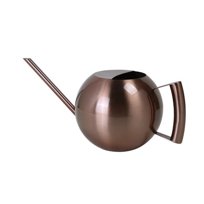 Arrosoir minimaliste pour plantes