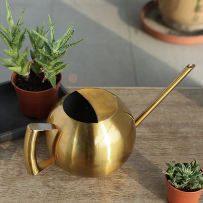 Arrosoir minimaliste pour plantes