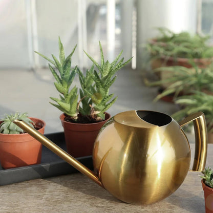 Arrosoir minimaliste pour plantes