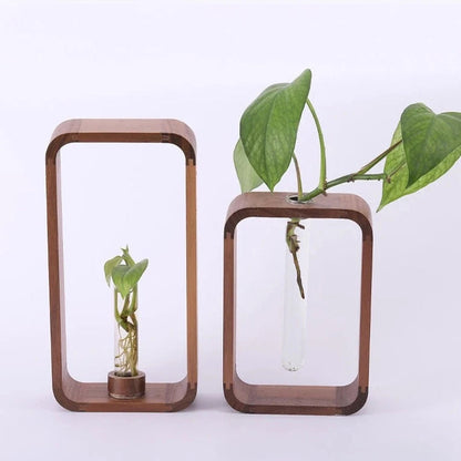 Propagateur décoratif en bois – Vases à boutures suspendues